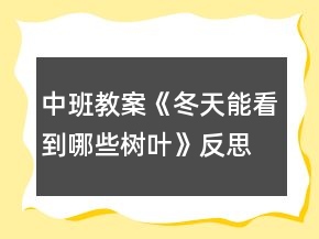 中班教案《冬天能看到哪些樹(shù)葉》反思