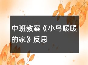 中班教案《小鳥暖暖的家》反思