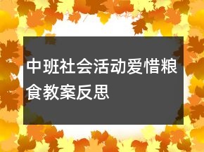中班社會活動：愛惜糧食教案反思