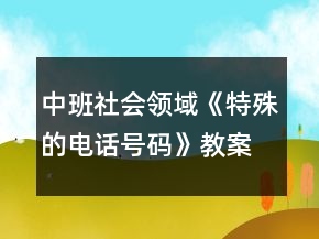 中班社會領域《特殊的電話號碼》教案反思