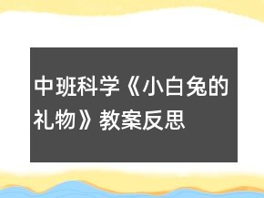 中班科學(xué)《小白兔的禮物》教案反思