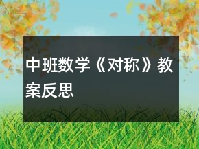中班數(shù)學(xué)《對稱》教案反思