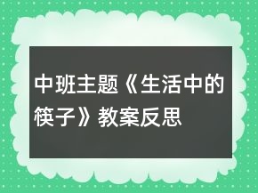 中班主題《生活中的筷子》教案反思