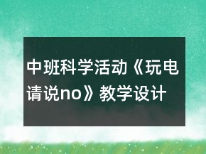 中班科學(xué)活動《玩電請說no》教學(xué)設(shè)計反思
