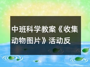 中班科學(xué)教案《收集動物圖片》活動反思