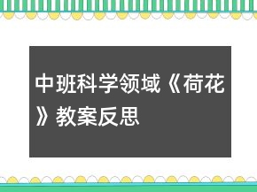 中班科學領域《荷花》教案反思