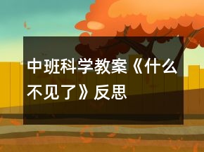 中班科學(xué)教案《什么不見了》反思