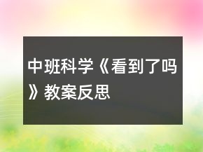 中班科學(xué)《看到了嗎》教案反思