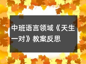 中班語言領域《天生一對》教案反思