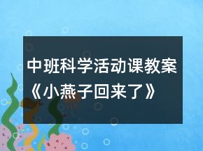 中班科學(xué)活動(dòng)課教案《小燕子回來了》