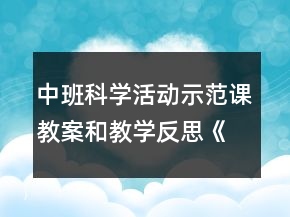 中班科學活動示范課教案和教學反思《摸摸有什么感覺》