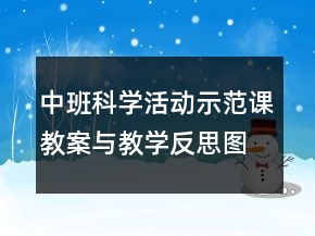 中班科學活動示范課教案與教學反思：圖形的分類