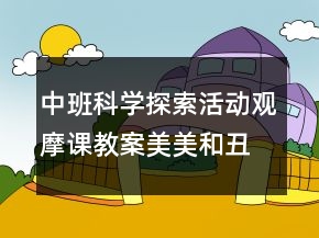 中班科學(xué)探索活動觀摩課教案：美美和丑丑反思