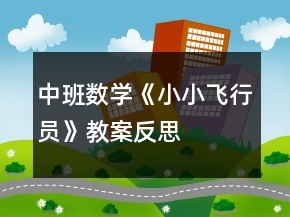 中班數(shù)學《小小飛行員》教案反思