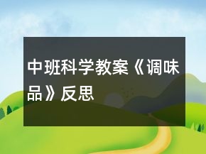中班科學(xué)教案《調(diào)味品》反思