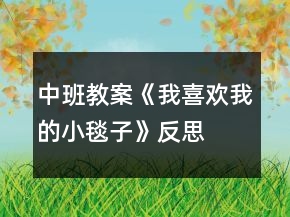 中班教案《我喜歡我的小毯子》反思