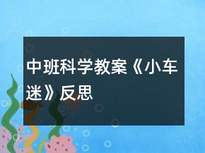 中班科學教案《小車迷》反思