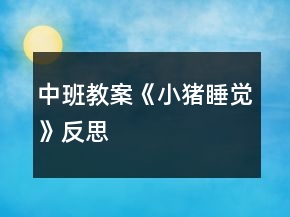 中班教案《小豬睡覺(jué)》反思