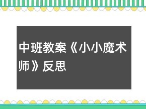 中班教案《小小魔術(shù)師》反思