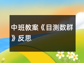 中班教案《目測(cè)數(shù)群》反思