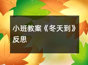 小班教案《冬天到》反思
