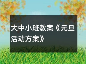 大中小班教案《元旦活動(dòng)方案》