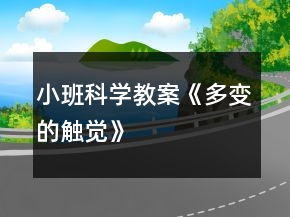 小班科學教案《多變的觸覺》