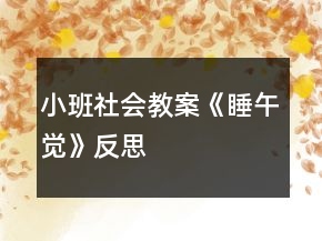 小班社會教案《睡午覺》反思