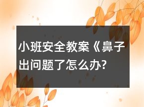 小班安全教案《鼻子出問題了,怎么辦?》反思