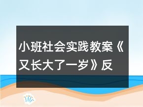 小班社會實(shí)踐教案《又長大了一歲》反思
