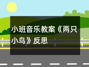 小班音樂(lè)教案《兩只小鳥(niǎo)》反思