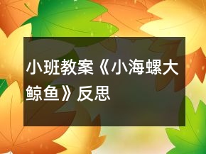 小班教案《小海螺大鯨魚》反思
