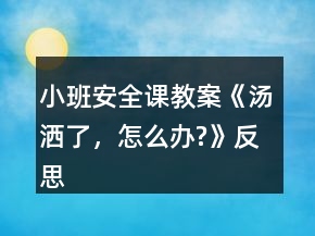 小班安全課教案《湯灑了，怎么辦?》反思
