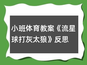 小班體育教案《流星球打灰太狼》反思