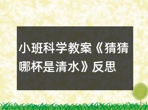 小班科學(xué)教案《猜猜哪杯是清水》反思