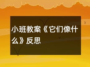 小班教案《它們像什么》反思