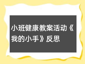 小班健康教案活動《我的小手》反思