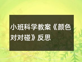 小班科學(xué)教案《顏色對(duì)對(duì)碰》反思