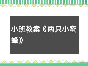 小班教案《兩只小蜜蜂》