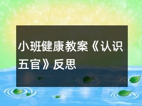 小班健康教案《認識五官》反思