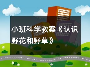 小班科學(xué)教案《認(rèn)識(shí)野花和野草》