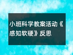 小班科學(xué)教案活動(dòng)《感知軟硬》反思