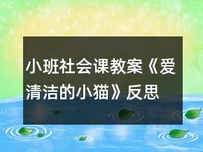 小班社會課教案《愛清潔的小貓》反思