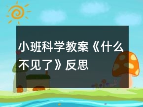 小班科學(xué)教案《什么不見了》反思