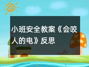 小班安全教案《會(huì)“咬人”的電》反思