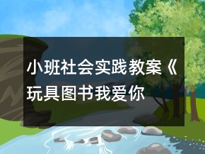 小班社會實踐教案《玩具、圖書我愛你》反思