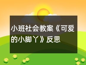 小班社會(huì)教案《可愛的小腳丫》反思