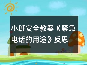 小班安全教案《緊急電話(huà)的用途》反思