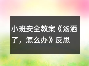 小班安全教案《湯灑了，怎么辦》反思