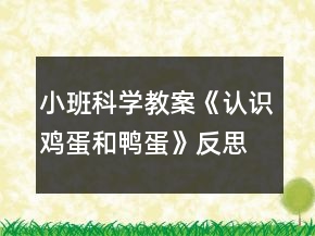 小班科學(xué)教案《認(rèn)識(shí)雞蛋和鴨蛋》反思